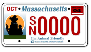 I'm Animal Friendly Plate