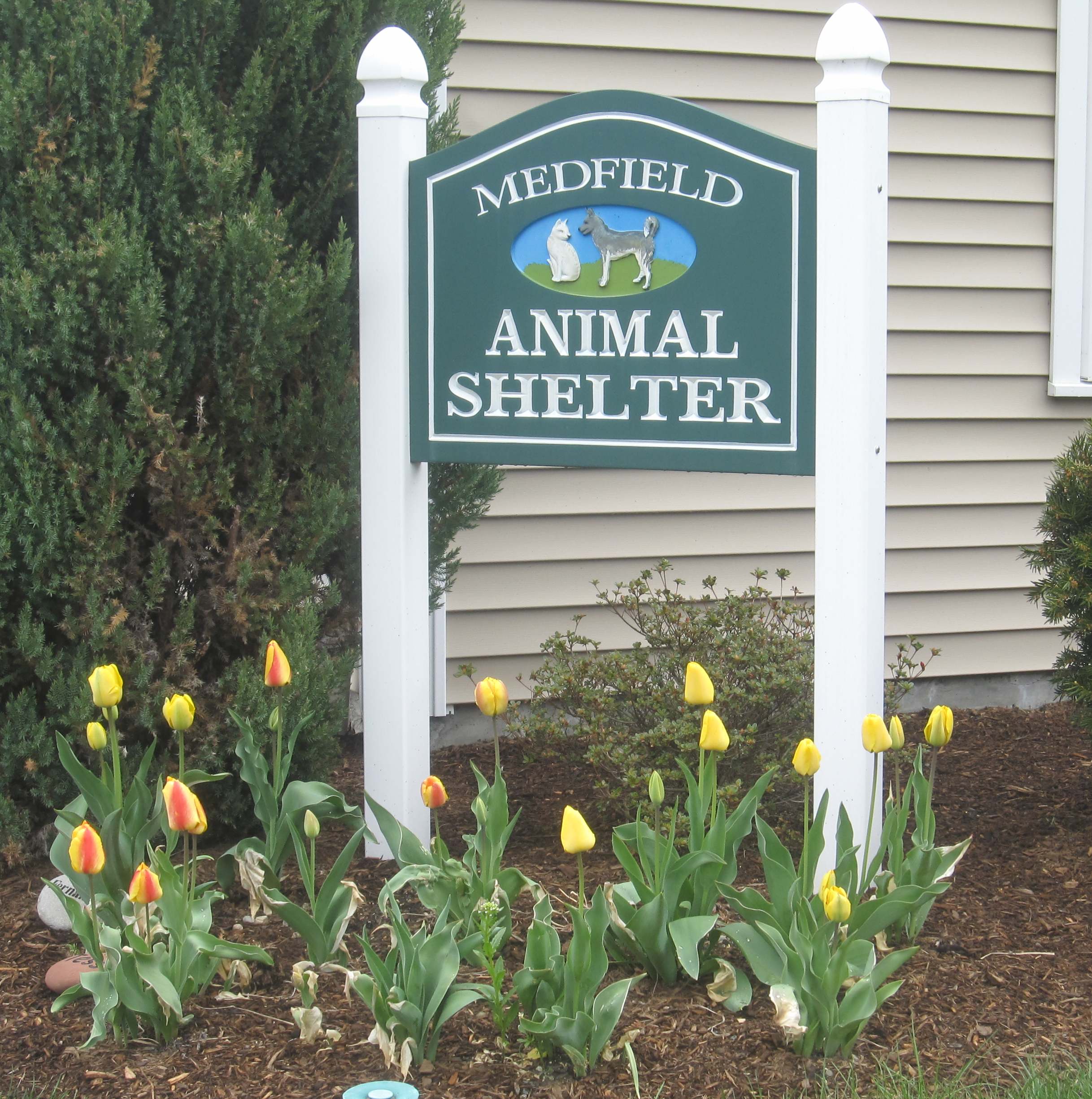 Shelter sign spring